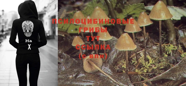 а пвп мука Балахна
