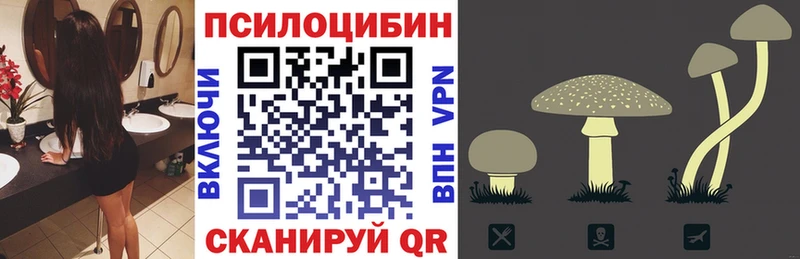 Галлюциногенные грибы Magic Shrooms  Купить закладки  Старая Русса 